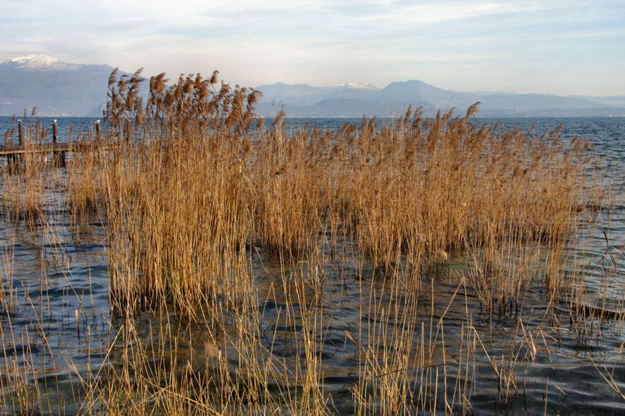 Lago di Garda - Sirmione - Garda Lake - Sirmione